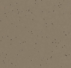 Линолеум Forbo Sphera Energetic 50206 bark фото 1 | FLOORDEALER